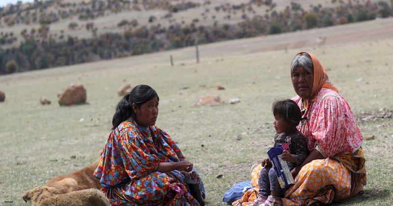 Lamentan jesuitas que inseguridad prevalece en Sierra Tarahumara.