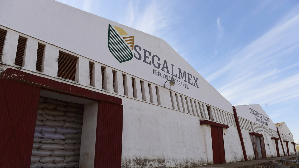 Fraude a Segalmex de 9 mil 500 mdp