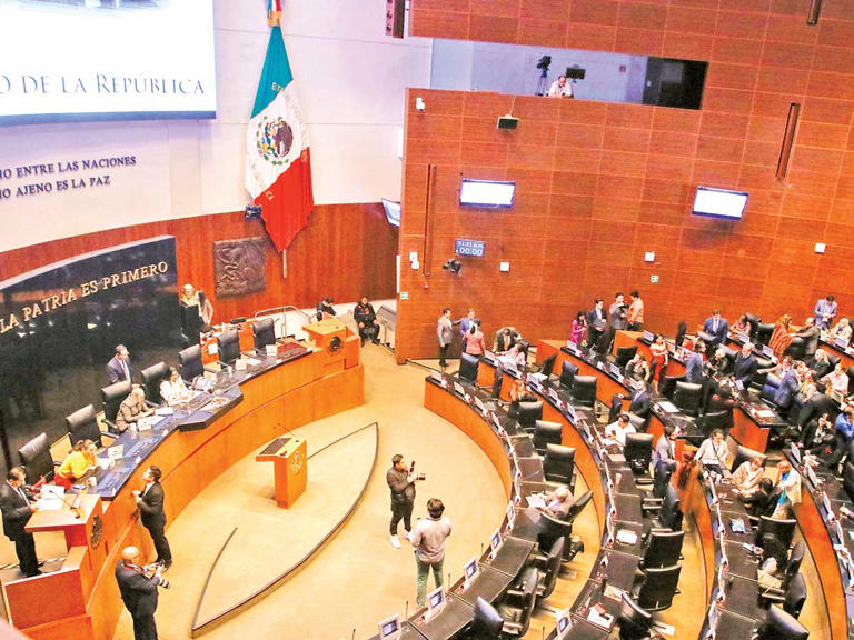 Senadores de distintos partidos impugnan legislación del Tren Maya por  inconstitucionalidad