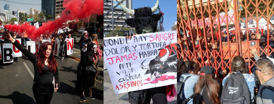 Renace la Tauromaquia en México entre Protestas y Pasión