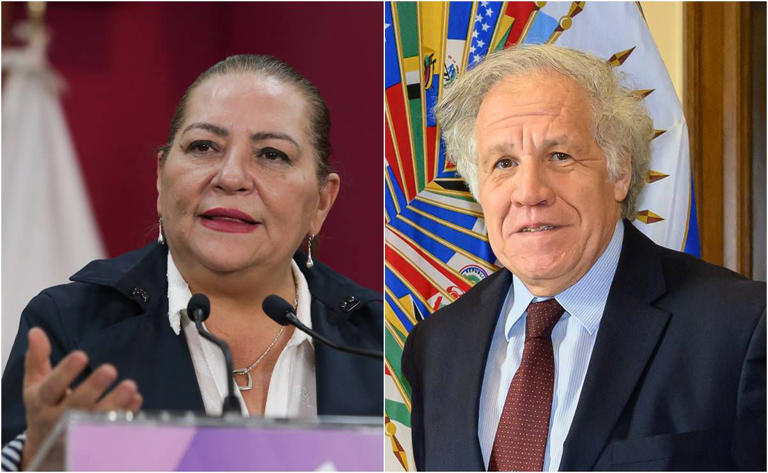 INE y OEA: Cooperación Confirmada para Observación Electoral
