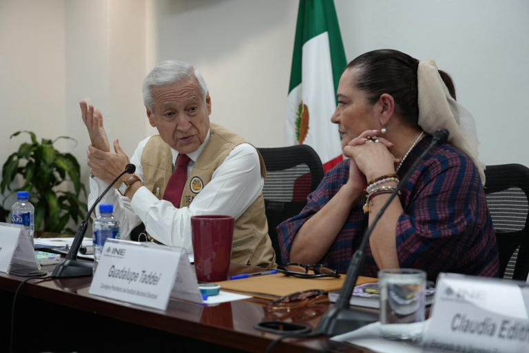 Observadores Internacionales Preocupados por Violencia Pre-Electoral en México