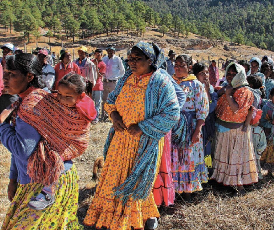 La reforma para Pueblos Indígenas y Afromexicanos que divide opiniones